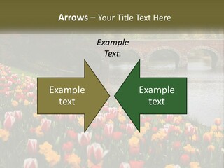 A Bridge Over A River With Lots Of Flowers In Front Of It PowerPoint Template