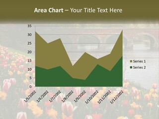 A Bridge Over A River With Lots Of Flowers In Front Of It PowerPoint Template