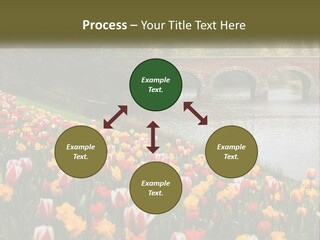 A Bridge Over A River With Lots Of Flowers In Front Of It PowerPoint Template