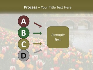 A Bridge Over A River With Lots Of Flowers In Front Of It PowerPoint Template