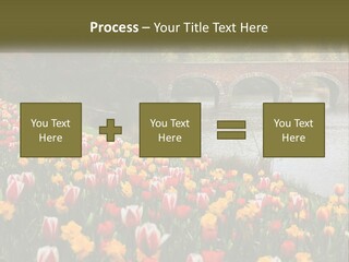 A Bridge Over A River With Lots Of Flowers In Front Of It PowerPoint Template