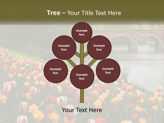 A Bridge Over A River With Lots Of Flowers In Front Of It PowerPoint Template