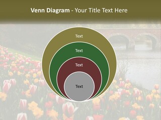 A Bridge Over A River With Lots Of Flowers In Front Of It PowerPoint Template