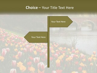 A Bridge Over A River With Lots Of Flowers In Front Of It PowerPoint Template