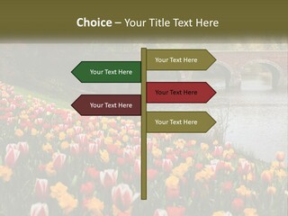 A Bridge Over A River With Lots Of Flowers In Front Of It PowerPoint Template