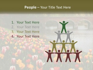 A Bridge Over A River With Lots Of Flowers In Front Of It PowerPoint Template