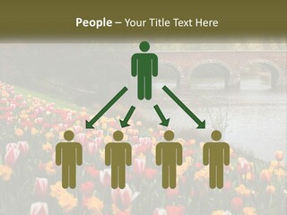 A Bridge Over A River With Lots Of Flowers In Front Of It PowerPoint Template