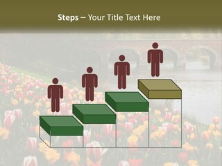 A Bridge Over A River With Lots Of Flowers In Front Of It PowerPoint Template