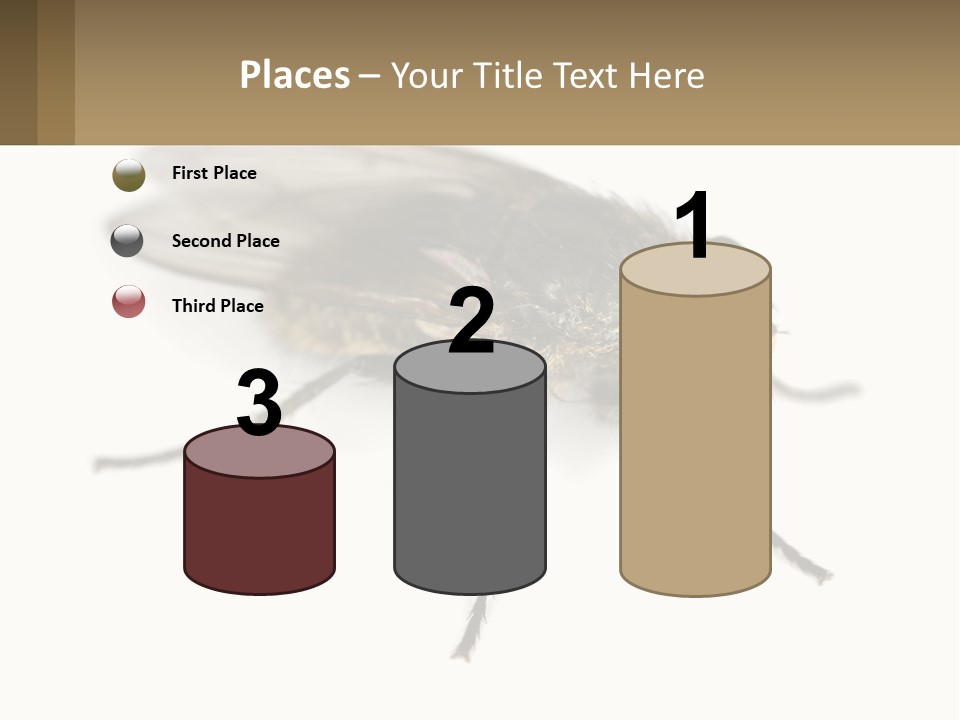 A Close Up Of A Fly On A White Background PowerPoint Template