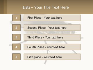 A Close Up Of A Fly On A White Background PowerPoint Template