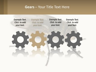 A Close Up Of A Fly On A White Background PowerPoint Template