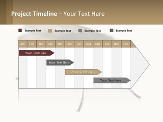 A Close Up Of A Fly On A White Background PowerPoint Template