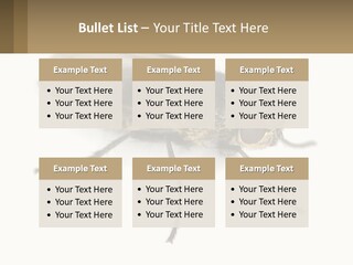 A Close Up Of A Fly On A White Background PowerPoint Template