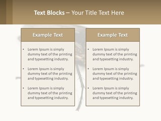 A Close Up Of A Fly On A White Background PowerPoint Template
