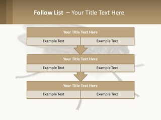 A Close Up Of A Fly On A White Background PowerPoint Template
