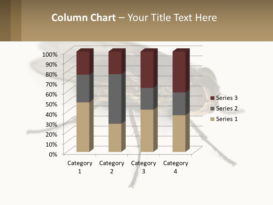 A Close Up Of A Fly On A White Background PowerPoint Template