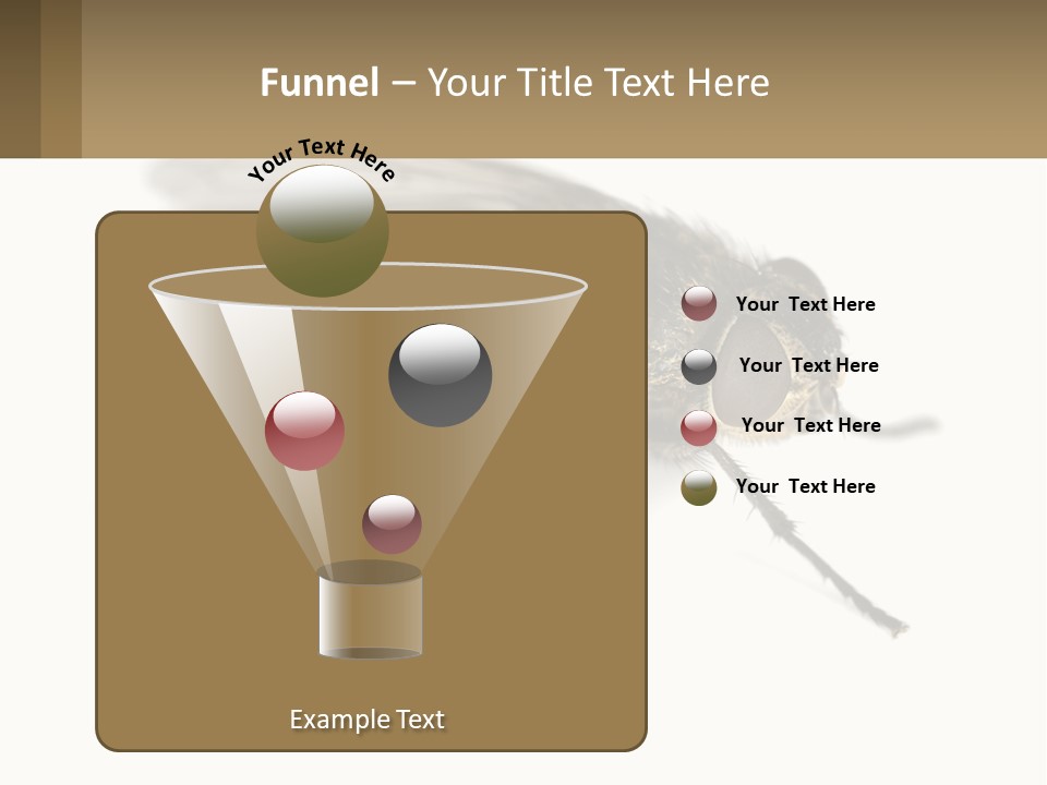 A Close Up Of A Fly On A White Background PowerPoint Template
