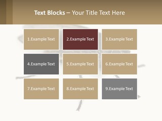 A Close Up Of A Fly On A White Background PowerPoint Template