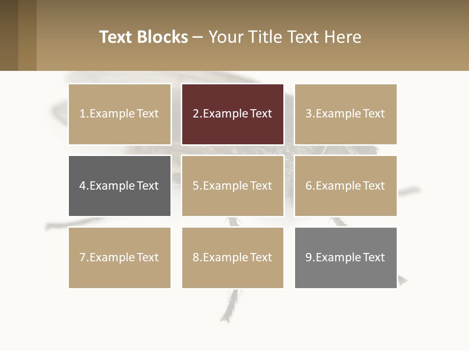 A Close Up Of A Fly On A White Background PowerPoint Template