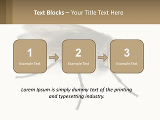 A Close Up Of A Fly On A White Background PowerPoint Template