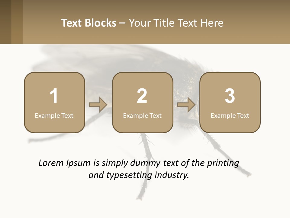 A Close Up Of A Fly On A White Background PowerPoint Template