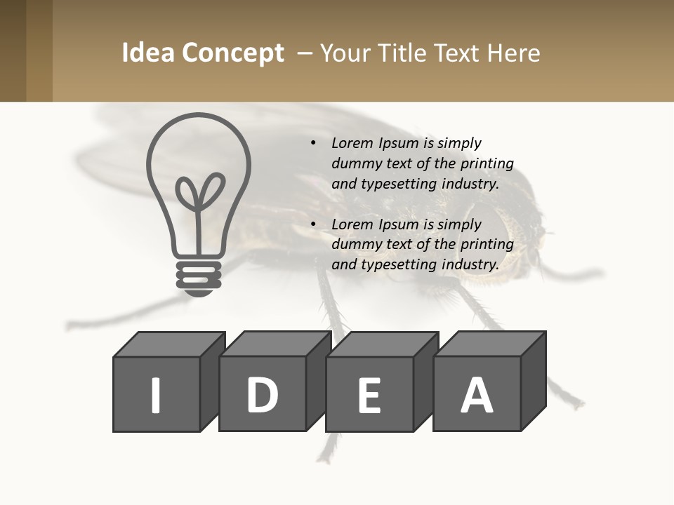 A Close Up Of A Fly On A White Background PowerPoint Template