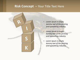 A Close Up Of A Fly On A White Background PowerPoint Template