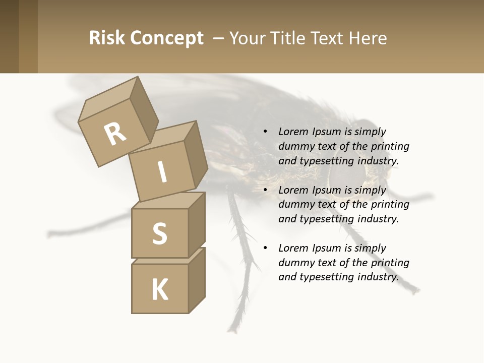 A Close Up Of A Fly On A White Background PowerPoint Template