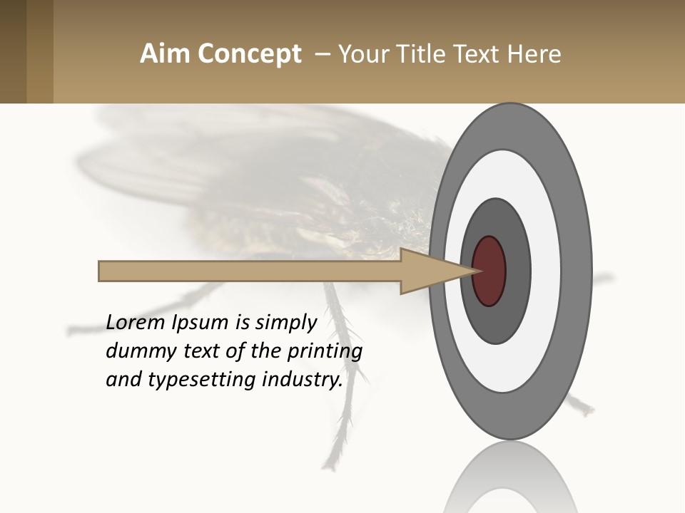 A Close Up Of A Fly On A White Background PowerPoint Template