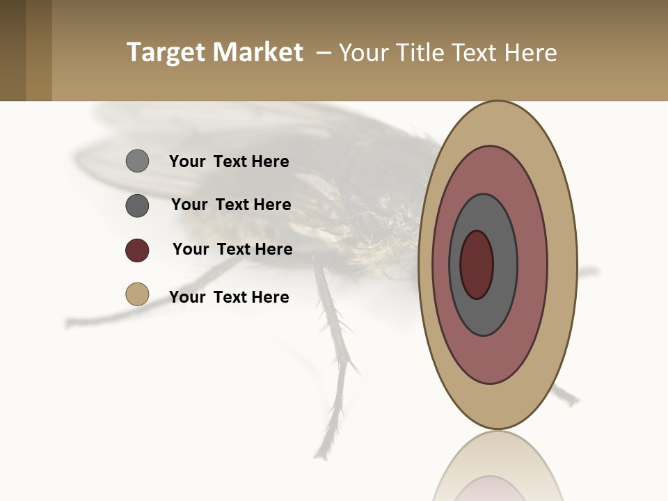 A Close Up Of A Fly On A White Background PowerPoint Template