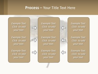 A Close Up Of A Fly On A White Background PowerPoint Template