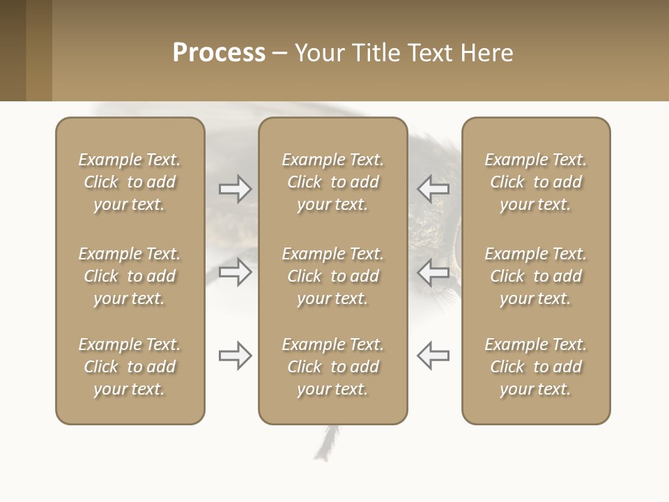 A Close Up Of A Fly On A White Background PowerPoint Template