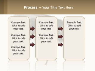 A Close Up Of A Fly On A White Background PowerPoint Template