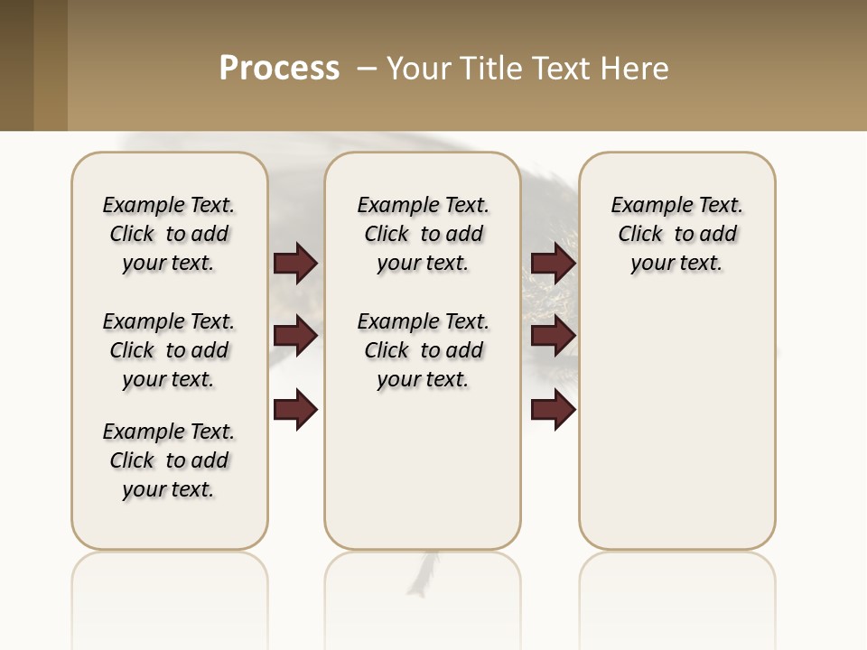 A Close Up Of A Fly On A White Background PowerPoint Template