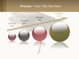 A Close Up Of A Fly On A White Background PowerPoint Template