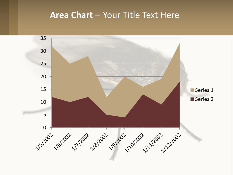 A Close Up Of A Fly On A White Background PowerPoint Template