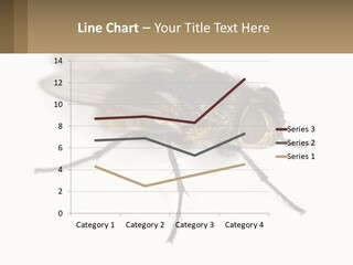 A Close Up Of A Fly On A White Background PowerPoint Template