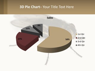 A Close Up Of A Fly On A White Background PowerPoint Template
