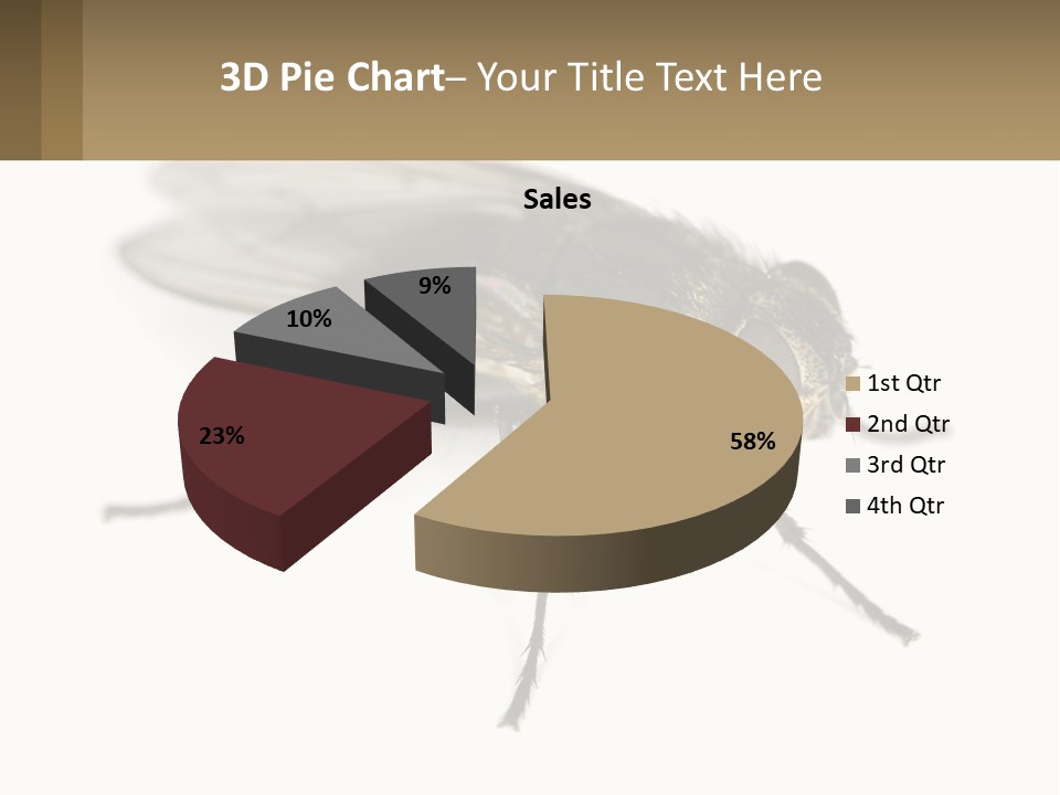 A Close Up Of A Fly On A White Background PowerPoint Template
