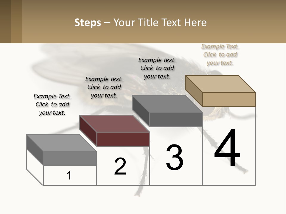 A Close Up Of A Fly On A White Background PowerPoint Template