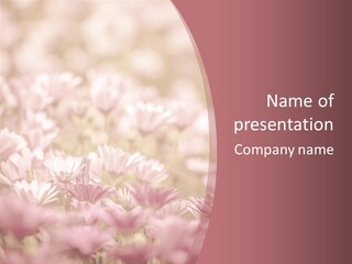 A Pink Flower Powerpoint Presentation Template PowerPoint Template