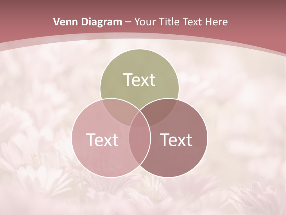 A Pink Flower Powerpoint Presentation Template PowerPoint Template