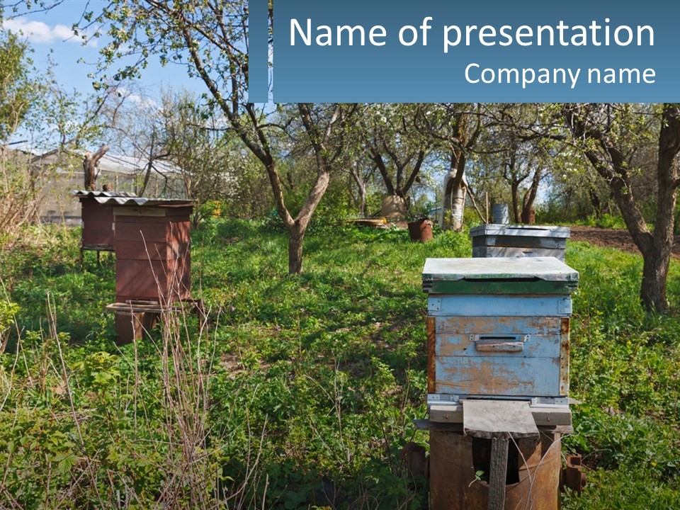 A Bunch Of Beehives In The Middle Of A Field PowerPoint Template