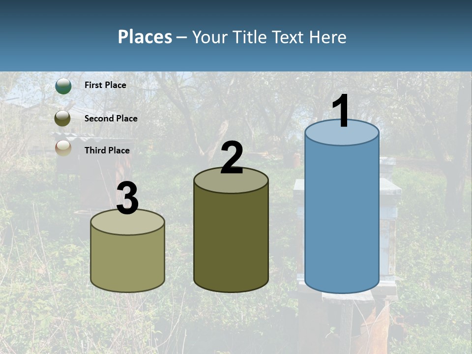 A Bunch Of Beehives In The Middle Of A Field PowerPoint Template