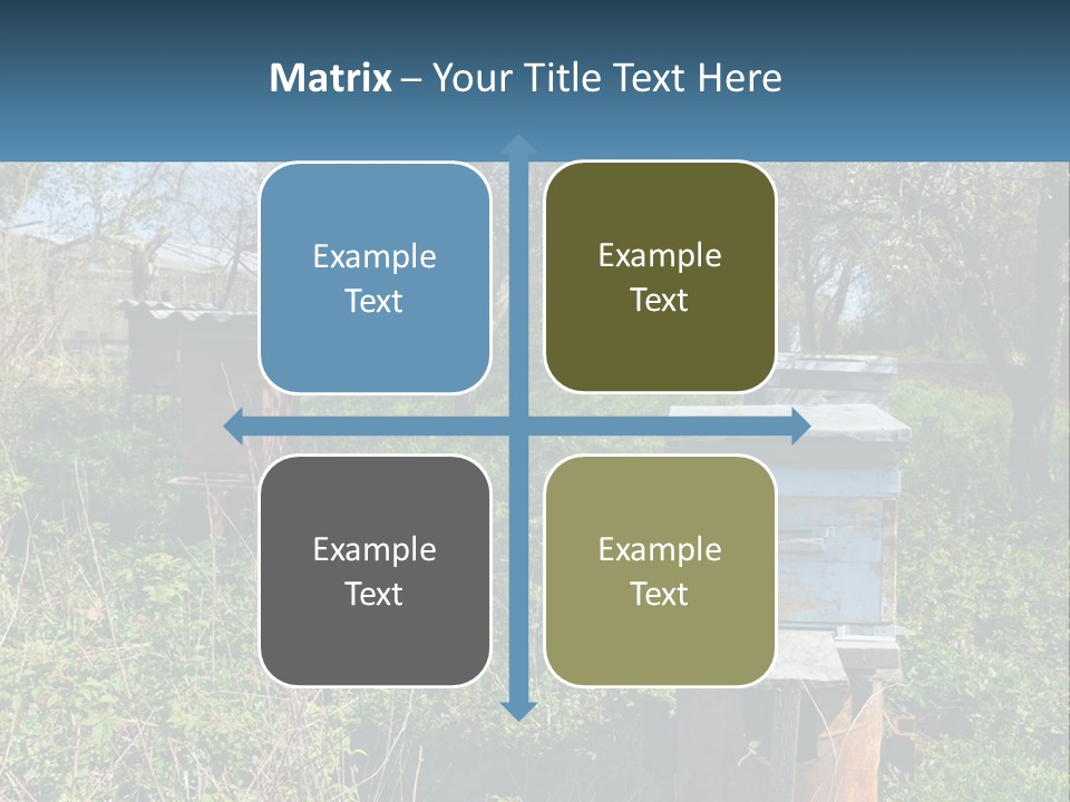 A Bunch Of Beehives In The Middle Of A Field PowerPoint Template