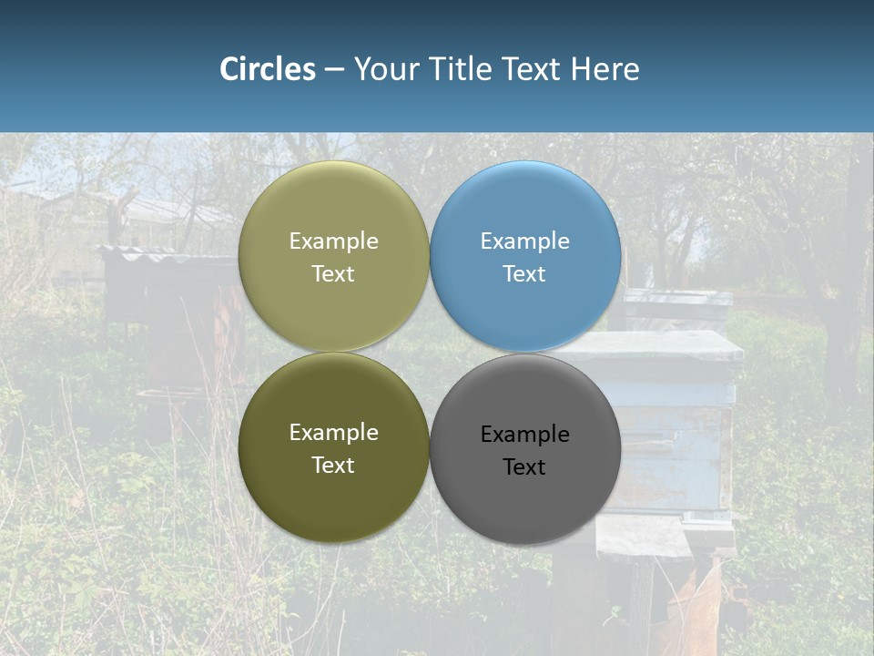 A Bunch Of Beehives In The Middle Of A Field PowerPoint Template