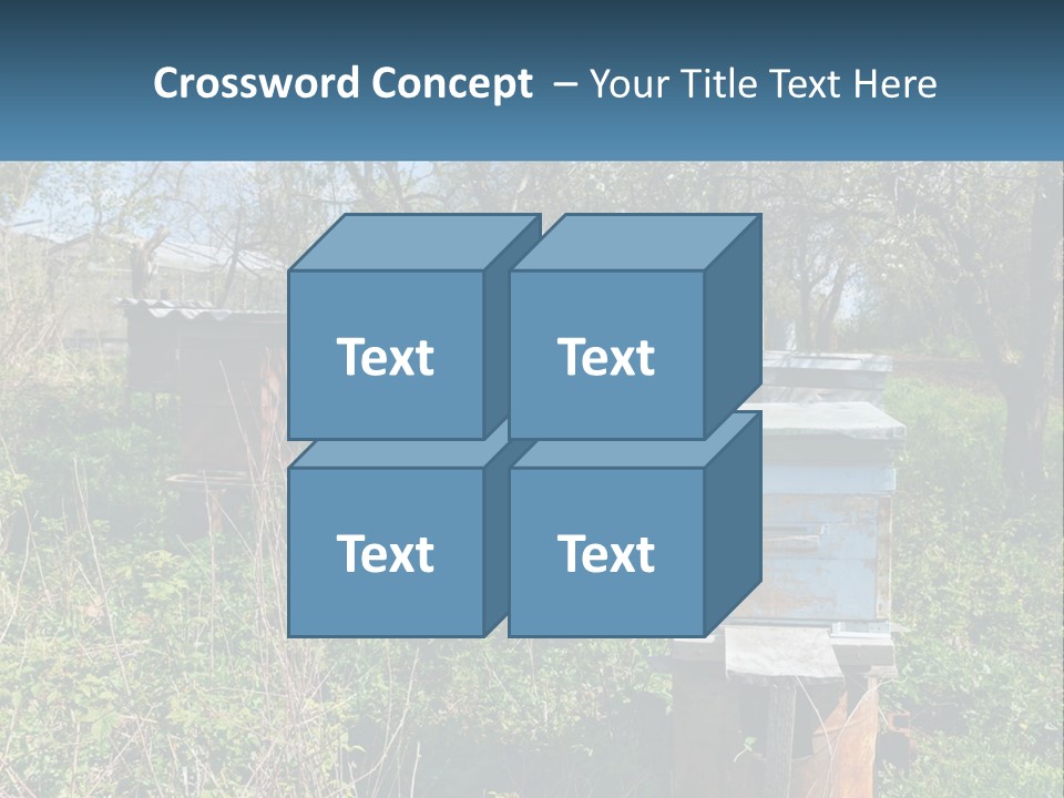 A Bunch Of Beehives In The Middle Of A Field PowerPoint Template