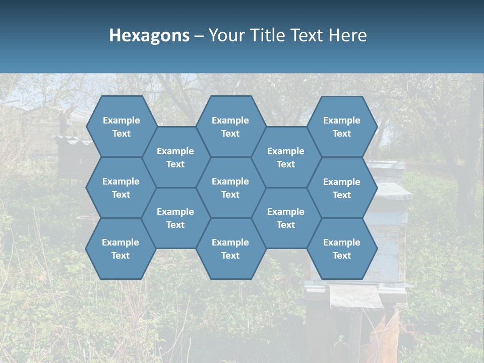 A Bunch Of Beehives In The Middle Of A Field PowerPoint Template