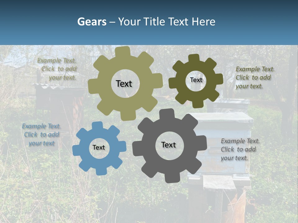 A Bunch Of Beehives In The Middle Of A Field PowerPoint Template