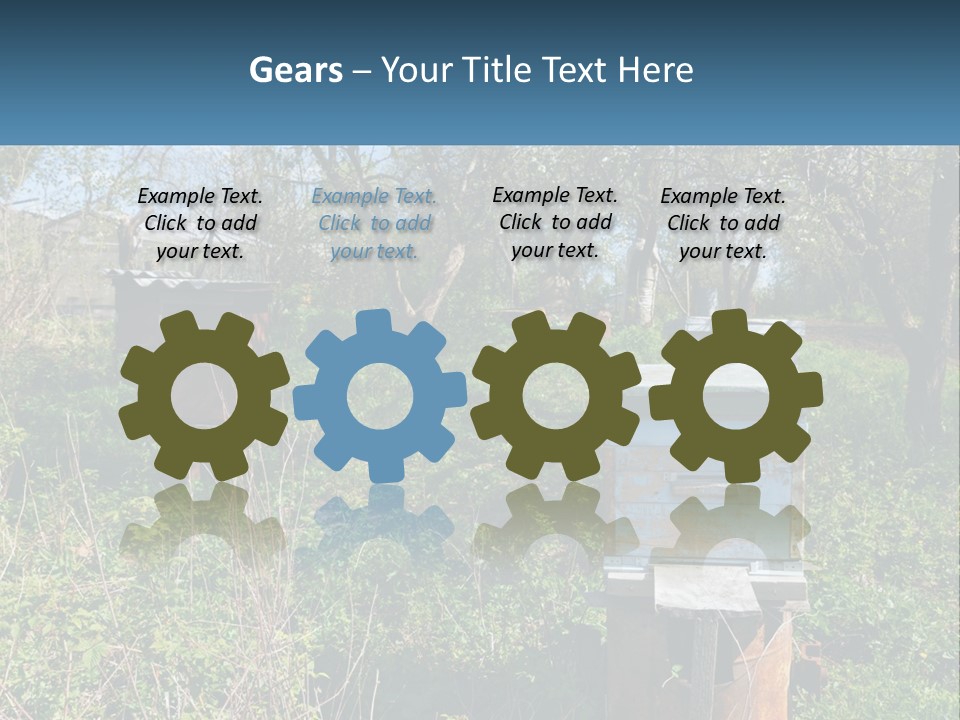 A Bunch Of Beehives In The Middle Of A Field PowerPoint Template